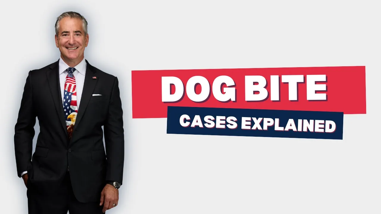 Dog Bite Cases Explained